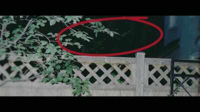 So you scale the fence, - Who Killed Robert Wone?