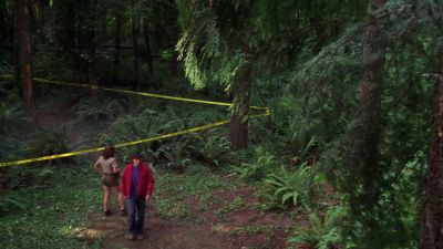 So you searched this whole area
all by yourself? - Smallville