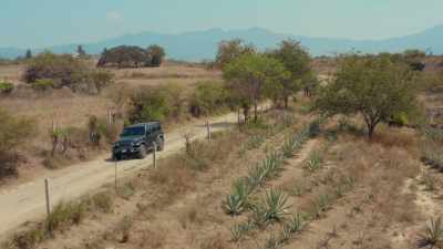 So, to see the field out here
with all this diverse agave - Eva Longoria: Searching for Mexico