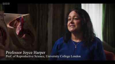 So, for sexual intercourse,
it has to become erect. - Cunk on Life