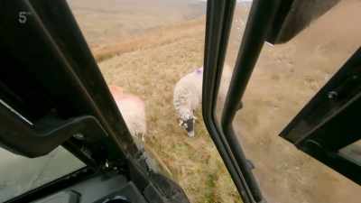 So, Sid mounts the head cam
once again, - Our Yorkshire Farm