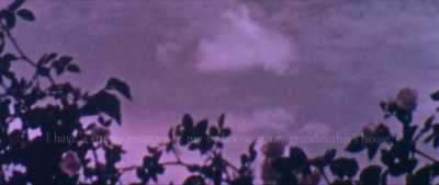 So simple as to be austere, but
it had a special atmosphere. - The Disappearance of Shere Hite