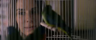 So sleepy. - Bird Box