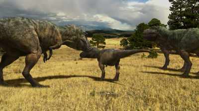 SO SOME BELIEVE THAT
IT'S JUST A JUVENILE T. REX. - Dino Hunters