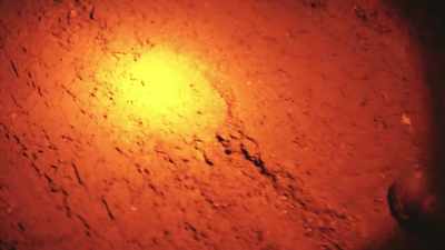 So if something with no
shoes walks out here, - Secrets of the Sasquatch