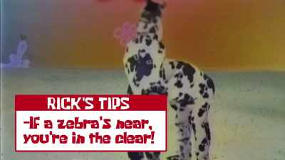 So as soon as it got
onto the zebra's back, - SpongeBob DocuPants