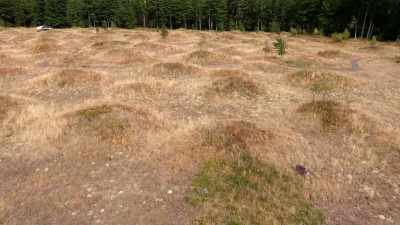 So it sounds like earthquakes
didn't create the Mima Mounds, - Secrets of the Underground