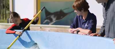 So, you still don't like
dolphins and sea turtles? - Bernie the Dolphin 2
