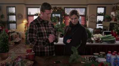 So you take a few branches
and you put them in the frame. - Christmas Wreaths and Ribbons