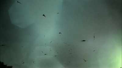 So they take thousands of bats - The UnBelievable with Dan Aykroyd