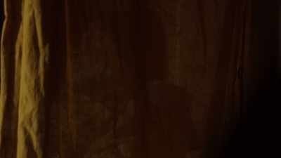 So he taught you about vampires? - Firebite