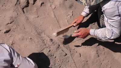 - So this team is digging,
gingerly brushing away at sand, - The UnBelievable with Dan Aykroyd