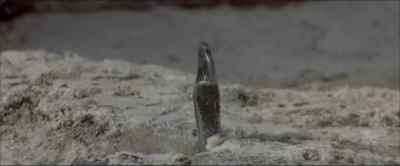 So, tell me, how you teeling? - Cliffhanger