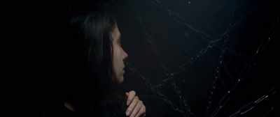 So either tell me
what's been going - Suicide Club
