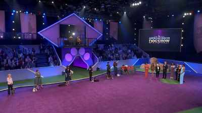 So thank you - 2022 American Rescue Dog Show