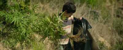 "So that we might
also be raised, to live a new life." - The Quarry
