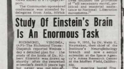 So, that was tom harvey's
promise. - The Man Who Stole Einstein's Brain