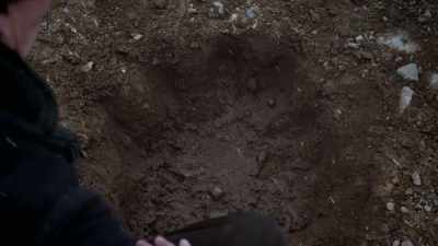 So that's 600 pounds a mammoth
would have to wield on its face. - The Alaska Triangle