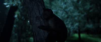 So that's it. - Ted 2