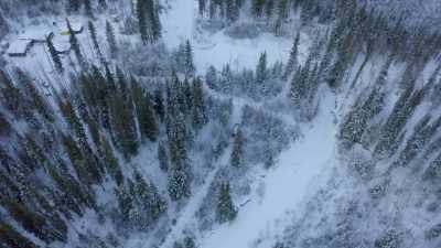 So that's like one
of those great things - Life Below Zero: Next Generation