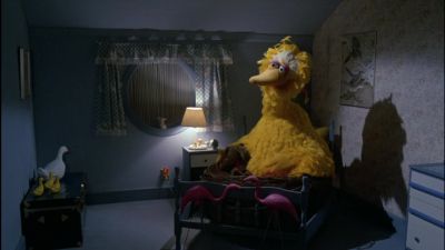 So That'S My New Home - Follow That Bird
