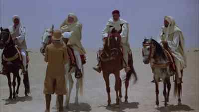 So that's what he looks like. - Lion of the Desert