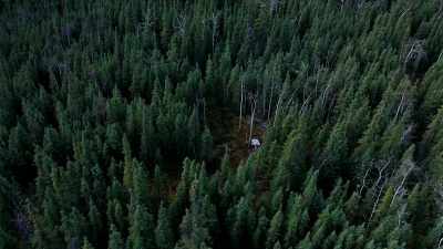 So that's why I bought a
plot of land that is half the - Life Below Zero: Next Generation