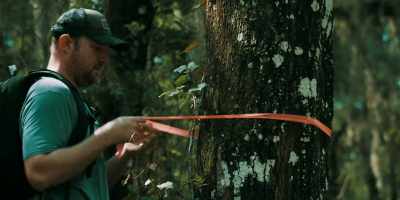 So that's why I tied
the ribbons to trees - The Blackwell Ghost 7