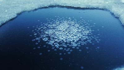 So the arctic's getting gradually warmer - Racing Extinction