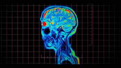 So when the brain stops functioning,
you can't be conscious. - Surviving Death