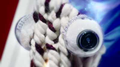 So, for the eyes, I had, like, - Craftopia