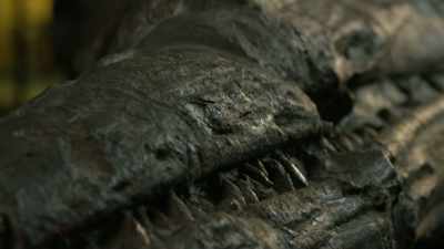 So, for the first time ever,
our team of scientists - Attenborough and the Sea Dragon