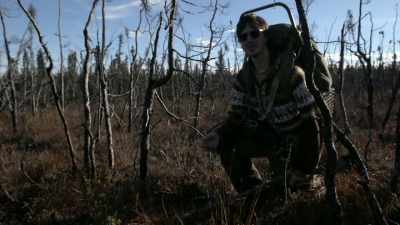 So, the forest fire, you know,
obviously destroyed everything. - Life Below Zero: Next Generation