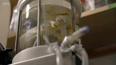 So, the next job is to use stem
cells to seed this structure with - The Human Body: Secrets of Your Life Revealed