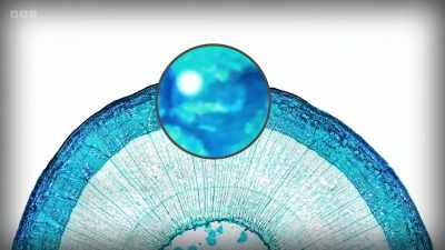 So the next step downwards - Secrets of Size: Atoms to Supergalaxies