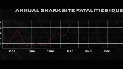 So the numbers
have remained flat - Envoy: Shark Cull