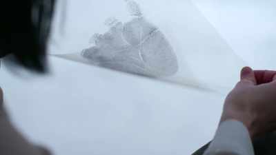 So the palm print, of course, - New York Homicide
