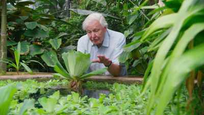 So the plant itself
is more or less unsinkable. - The Green Planet