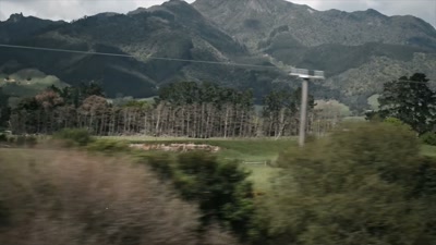 So, the potential connections
with this Irish gang. - The Gone