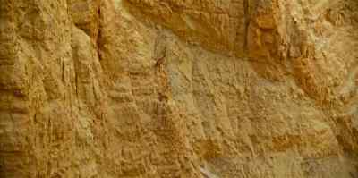 So, the residents
of this desert... - Evolution Earth
