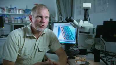 So, when the seawater temperatures
rise above a critical threshold, - Attenborough's Life in Colour