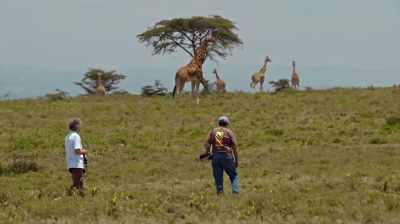 So, the second book really
emphasizes those social networks - The Woman Who Loves Giraffes