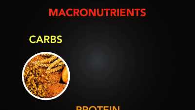 - So the three main
macronutrients in
food are carbohydrate, - Fat Fiction