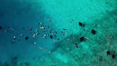 So the tourism also have ups, - A Year on Planet Earth
