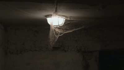 - So the UC's
down in the basement. - FBI TRUE