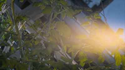 So the warmth that
I'm feeling right now, - A Brief History of the Future