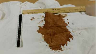 So then he looked
in the closet - Ted Bundy: Falling for a Killer