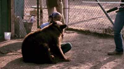 So there was a young bear
named Pooh. - Making Waves: The Art of Cinematic Sound