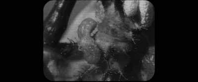 So there are all
these alien things - Memory: The Origins of Alien