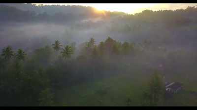 So, there are roughly
100 uncontacted - The Osbournes Want to Believe